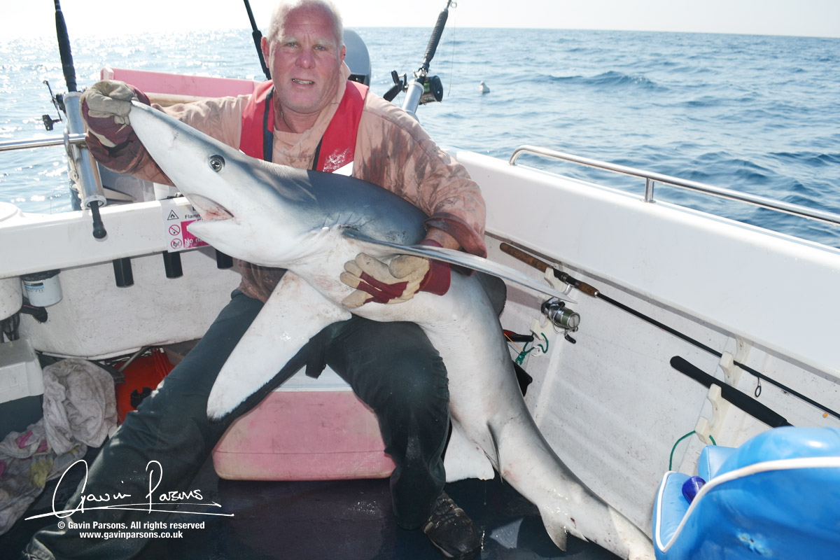 Blue Shark fishing | | Fishing Tails