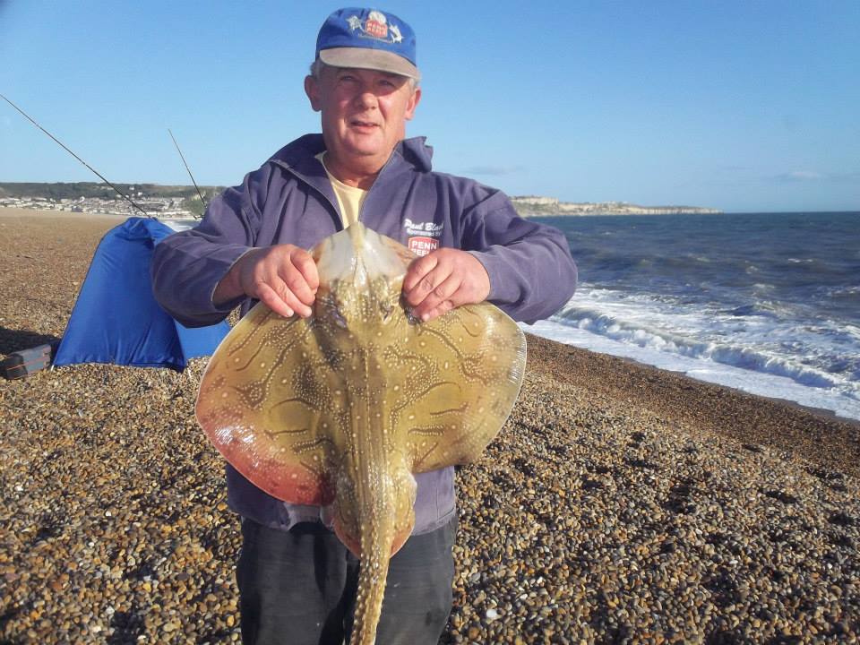 fantastic ray fishing on chesil beach fishing tails